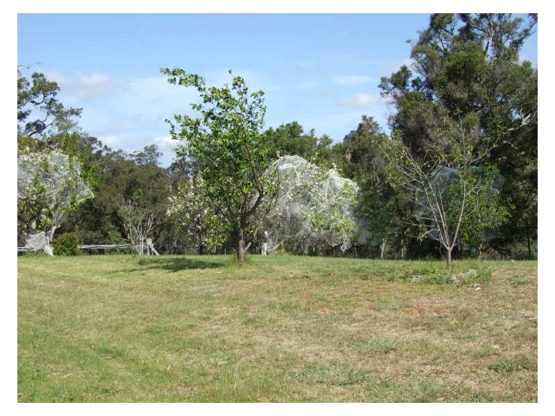 234 Snowy Mountains Highway, Bega NSW 2550