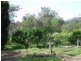 12780 Princes Highway, Brogo NSW 2550
