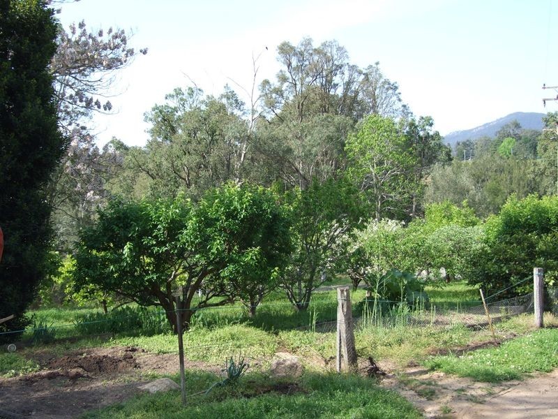 12780 Princes Highway, Brogo NSW 2550