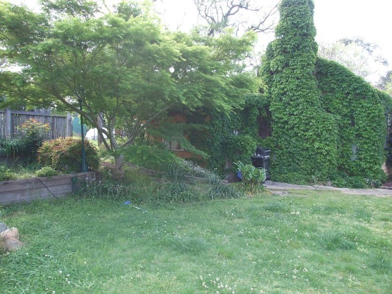 12780 Princes Highway, Brogo NSW 2550