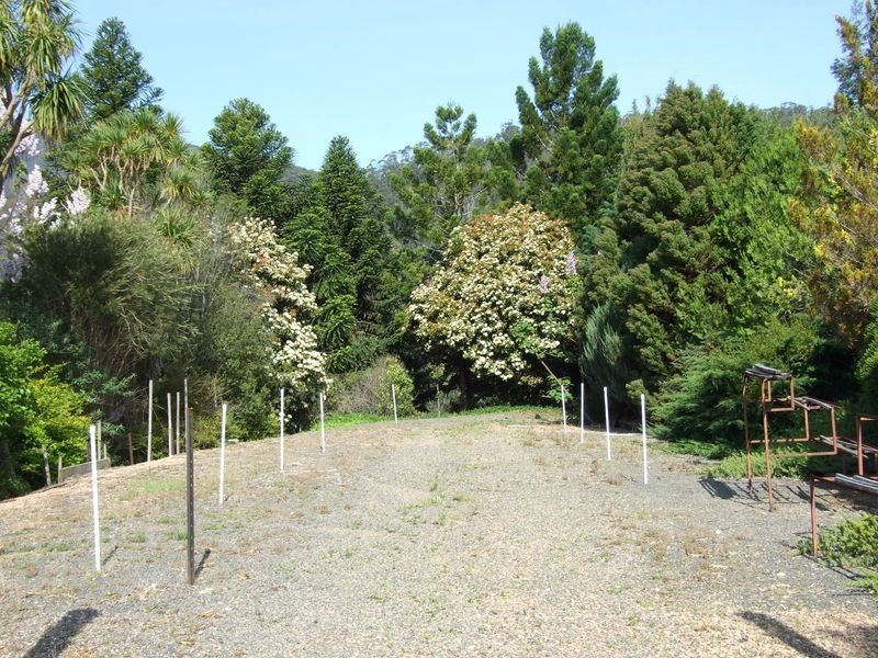 12780 Princes Highway, Brogo NSW 2550