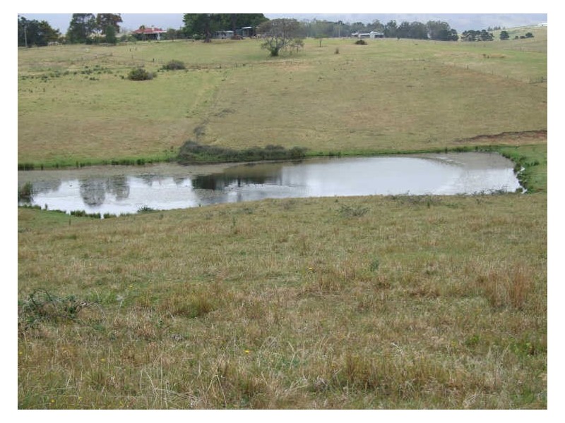 417 Towridgee Lane, Candelo NSW 2550