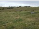 417 Towridgee Lane, Candelo NSW 2550