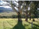 Lot A Tantawanglo Mountain Road, Candelo NSW 2550
