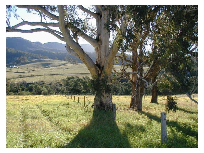 Lot A Tantawanglo Mountain Road, Candelo NSW 2550