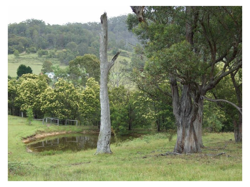 Lot A Tantawanglo Mountain Road, Candelo NSW 2550