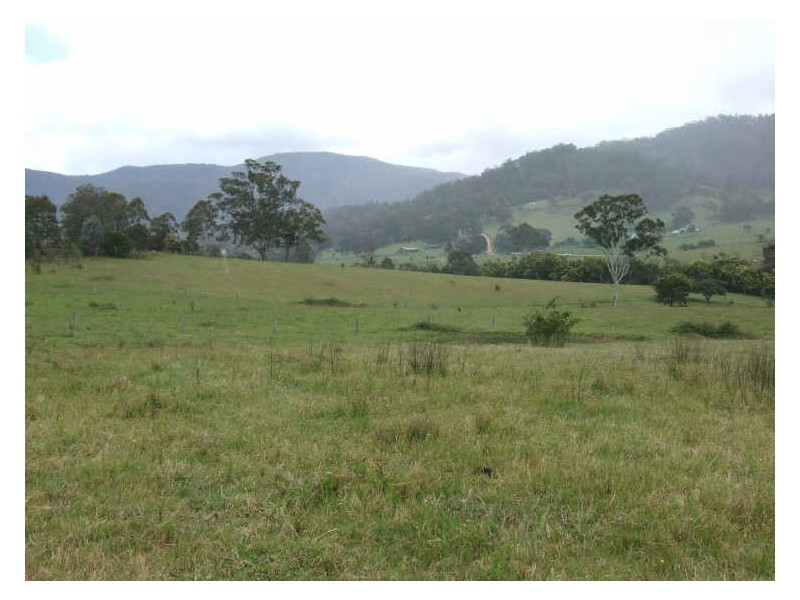 Lot A Tantawanglo Mountain Road, Candelo NSW 2550