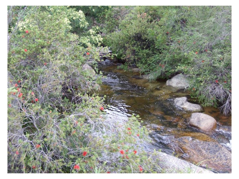 Lot A Tantawanglo Mountain Road, Candelo NSW 2550