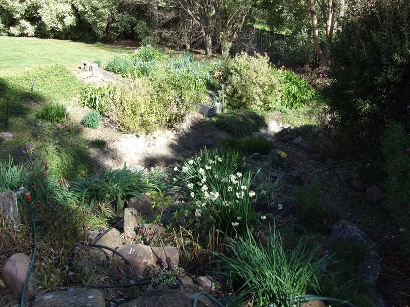 11 Gordon Street, Quaama NSW 2550