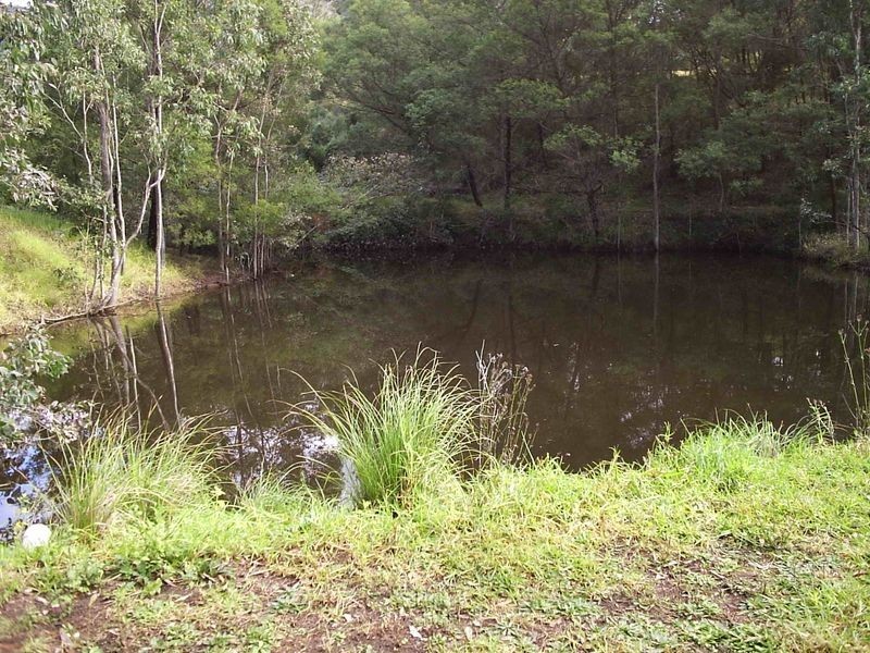 50 Buckleys Ridge Road, Bemboka NSW 2550