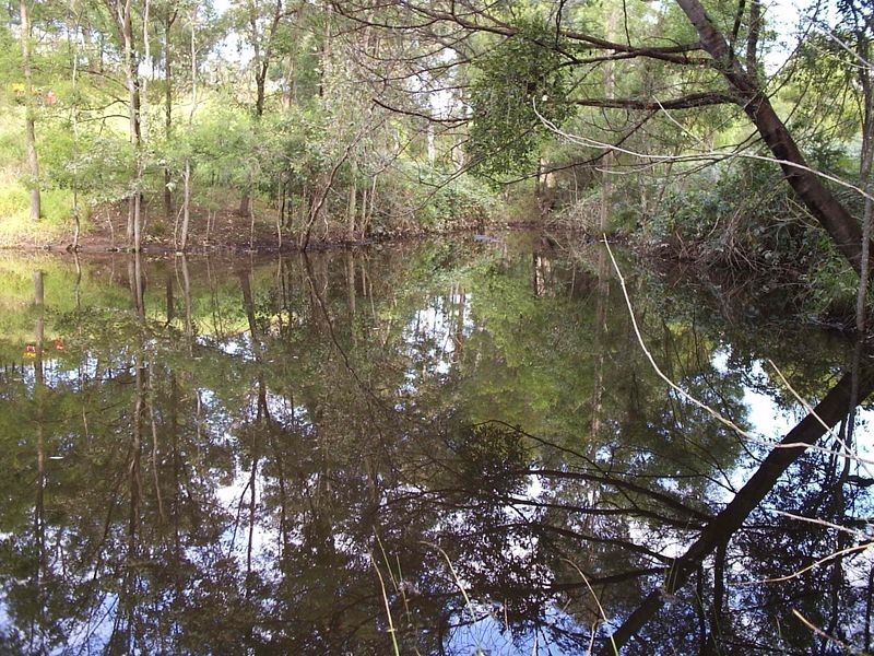 50 Buckleys Ridge Road, Bemboka NSW 2550