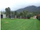 50 Buckleys Ridge Road, Bemboka NSW 2550
