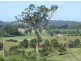 Bega NSW 2550