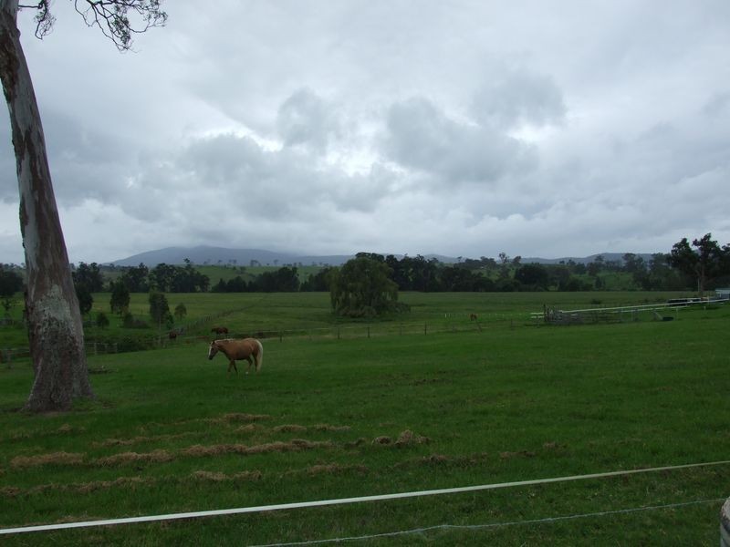 82 Corridgeree Road, Bega NSW 2550