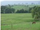 82 Corridgeree Road, Bega NSW 2550