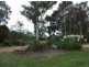 Candelo NSW 2550