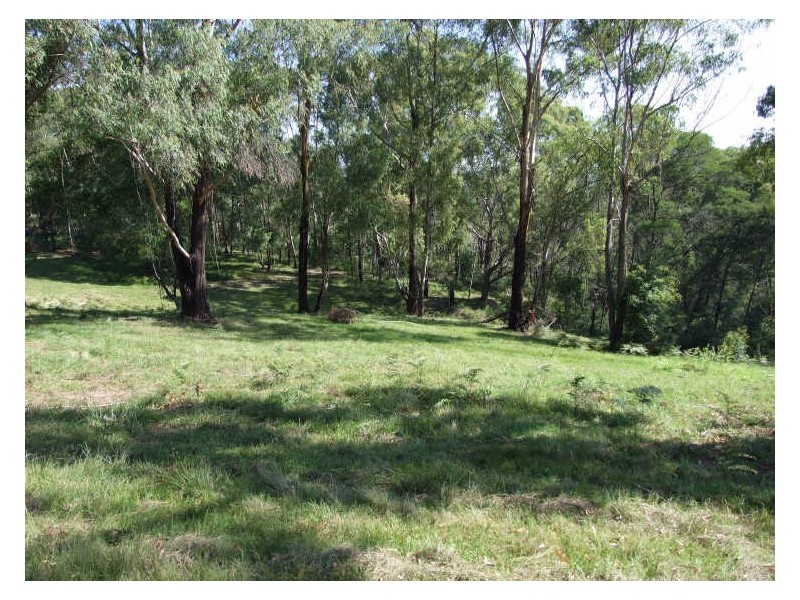 Lot 21 Field Buckets Road, Quaama NSW 2550