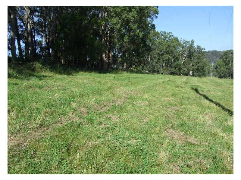 Lot 21 Field Buckets Road, Quaama NSW 2550