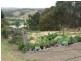 171 Briand Road, Bega NSW 2550
