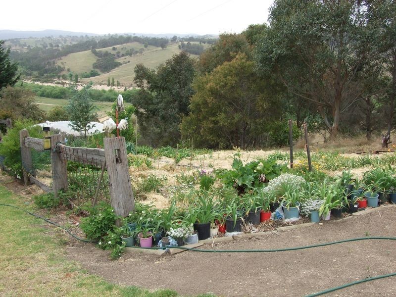 171 Briand Road, Bega NSW 2550