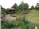 171 Briand Road, Bega NSW 2550