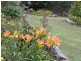 171 Briand Road, Bega NSW 2550