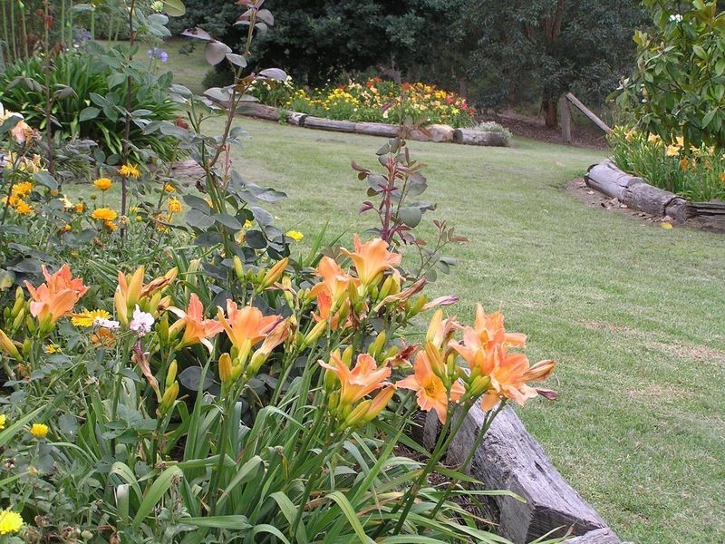 171 Briand Road, Bega NSW 2550
