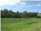 111 Glisson Watson Road, Cobargo NSW 2550