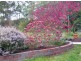 23 Penuca Rd, Kalaru NSW 2550
