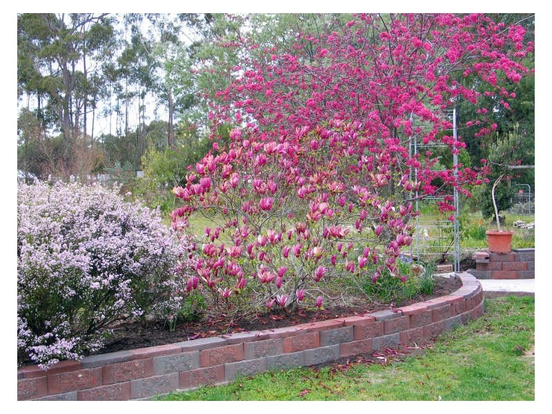 23 Penuca Rd, Kalaru NSW 2550