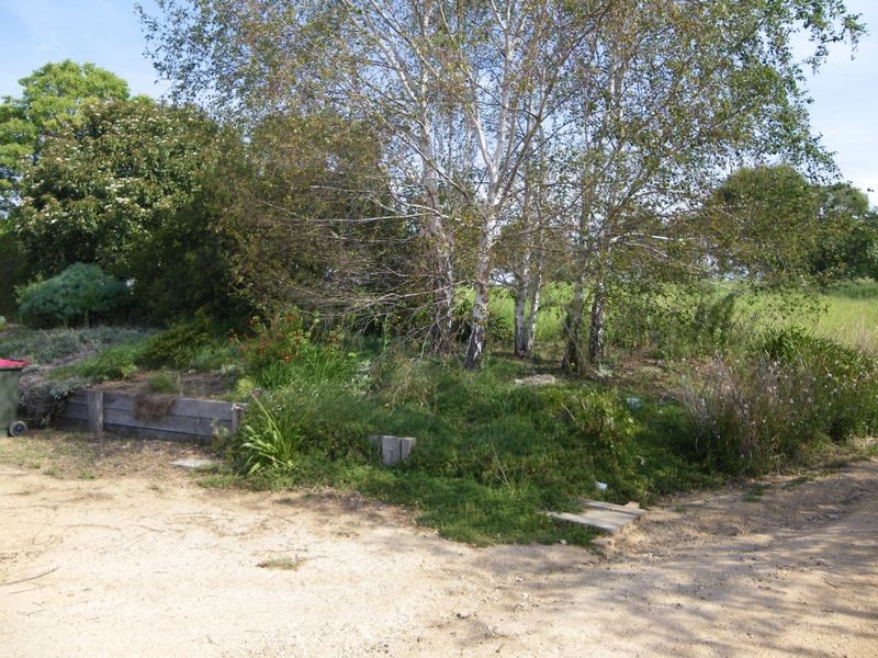 Candelo-Wolumla Rd, Toothdale NSW 2550