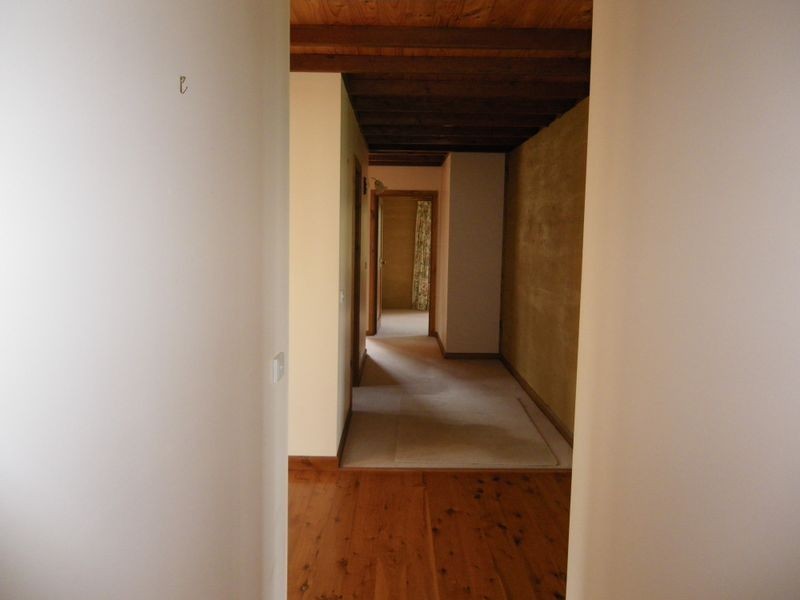 Candelo-Wolumla Rd, Toothdale NSW 2550