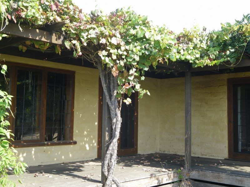 Candelo-Wolumla Rd, Toothdale NSW 2550