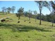 Lot 611 Peak Hill Road, Bega NSW 2550