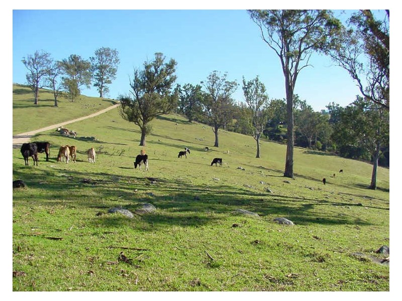 Lot 611 Peak Hill Road, Bega NSW 2550