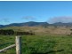 Candelo NSW 2550