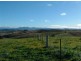 Candelo NSW 2550