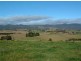 Candelo NSW 2550