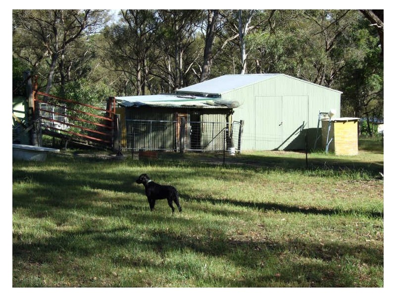 491 Wyndham Lane, Candelo NSW 2550