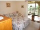 491 Wyndham Lane, Candelo NSW 2550