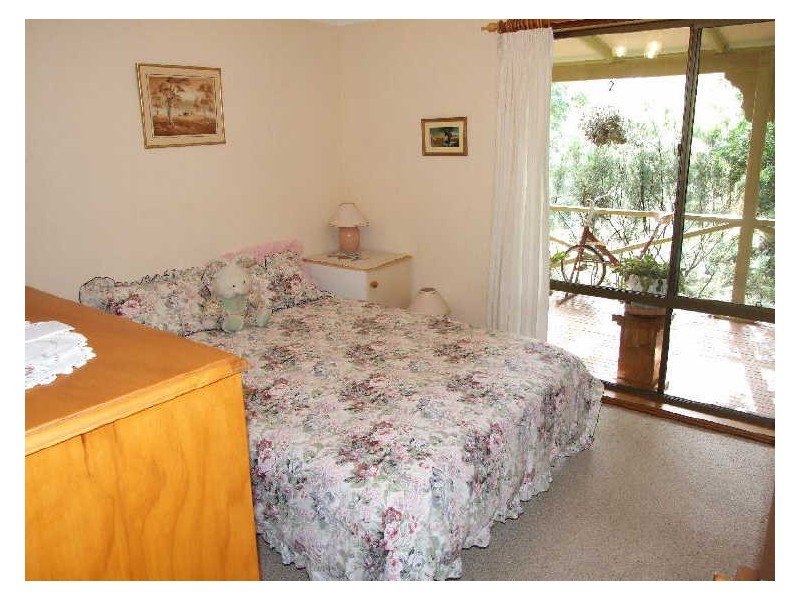 491 Wyndham Lane, Candelo NSW 2550