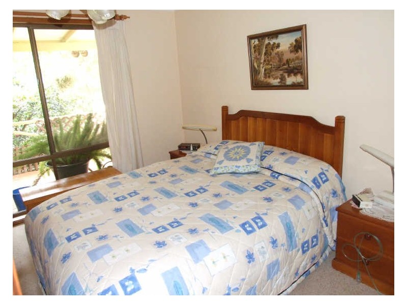 491 Wyndham Lane, Candelo NSW 2550