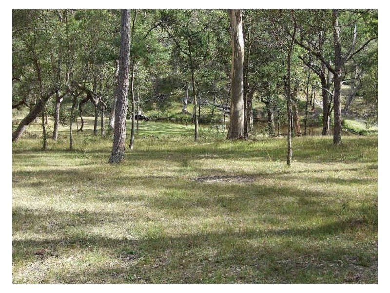 491 Wyndham Lane, Candelo NSW 2550