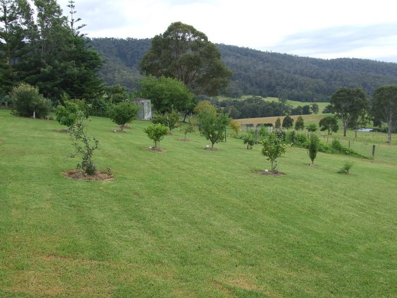 1 Moss Lane, Cobargo NSW 2550