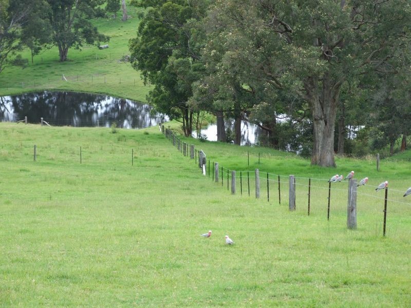 1 Moss Lane, Cobargo NSW 2550