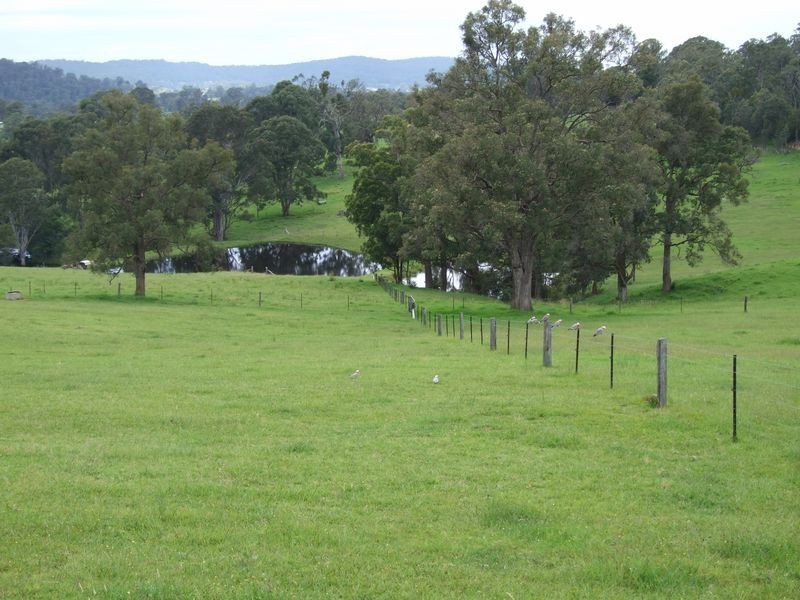 1 Moss Lane, Cobargo NSW 2550