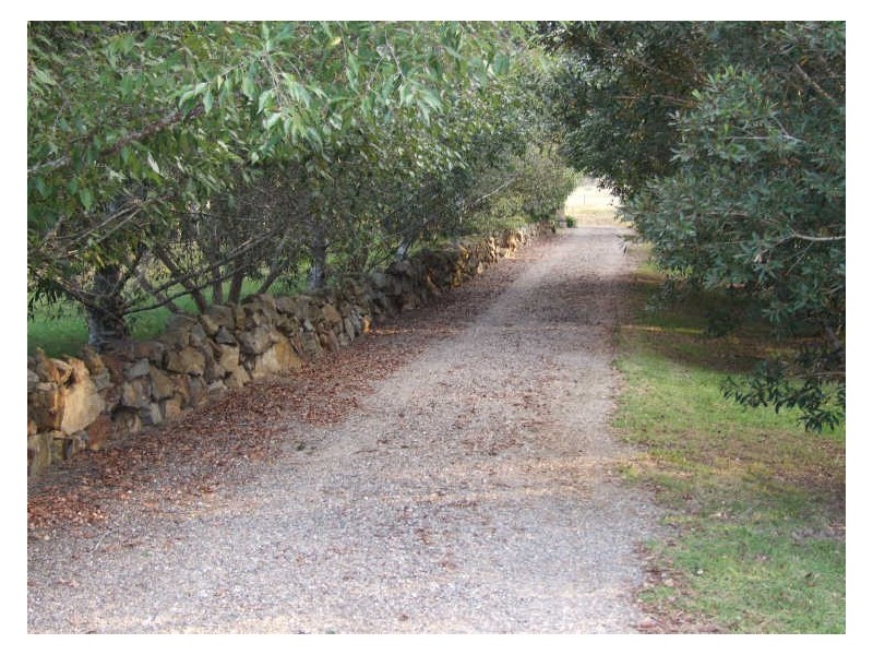 “Siam”/120 Dignams Creek Road, Cobargo NSW 2550