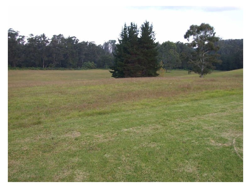 “Siam”/120 Dignams Creek Road, Cobargo NSW 2550