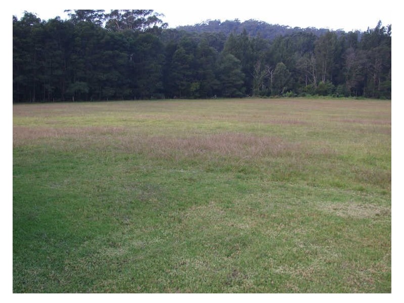 “Siam”/120 Dignams Creek Road, Cobargo NSW 2550