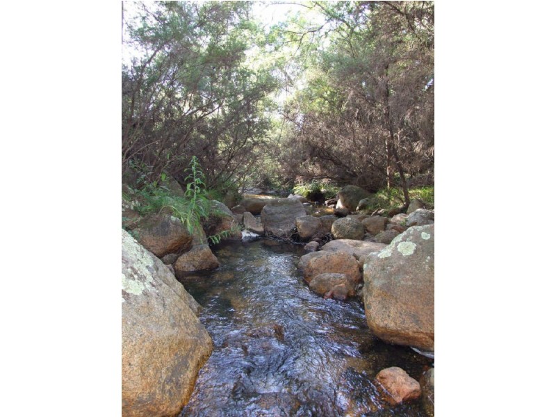 Candelo NSW 2550